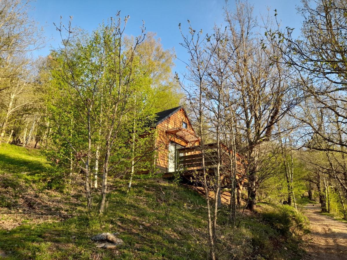 Mon Chalet Au Coeur Des Cevennes Vebron Eksteriør billede